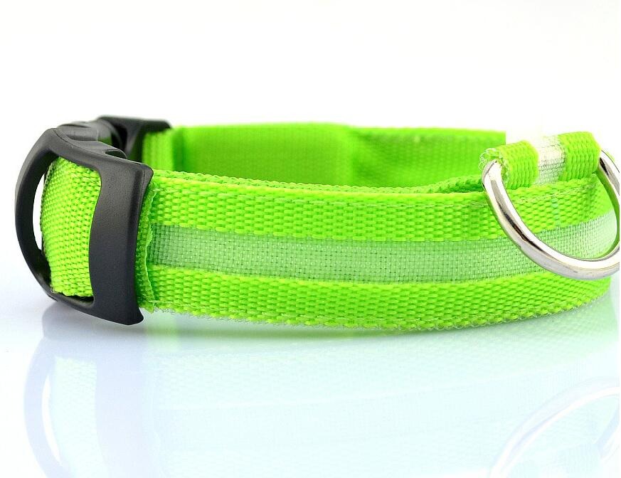 Pupular LED Collar
