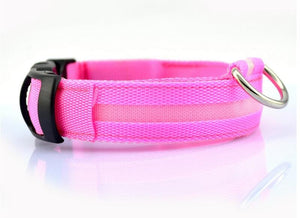 Pupular LED Collar